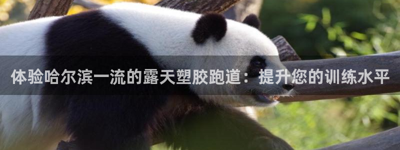 红足1世手机版下载：体验哈尔滨一流的露天塑胶跑道：提升您的训练水平