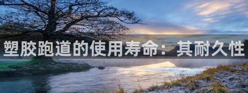红足1一世 2站：塑胶跑道的使用寿命：其耐久性
