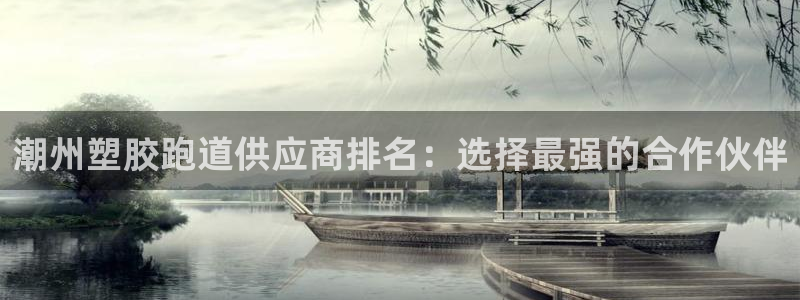 红足一1世平台：潮州塑胶跑道供应商排名：选择最强的合作伙伴