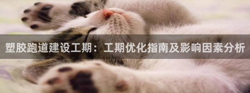 红足网足球直播：塑胶跑道建设工期：工期优化指南及影响因素分析