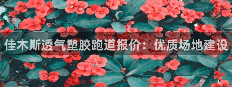 百度红足一1是什么样子的：佳木斯透气塑胶跑道报价：优质场地建设