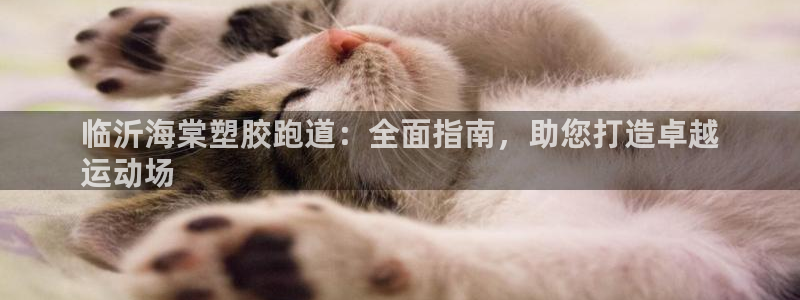 红足一丰：临沂海棠塑胶跑道：全面指南，助您打造卓越
运动场