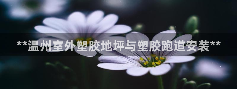 红足1世1站：**温州室外塑胶地坪与塑胶跑道安装**