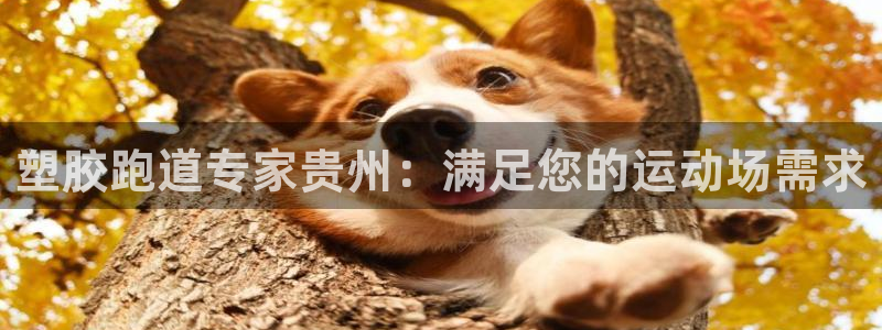 红足1一世