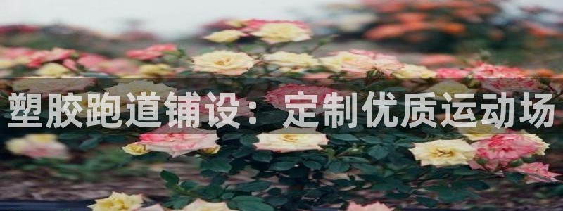 红足1世足球网址：塑胶跑道铺设：定制优质运动场