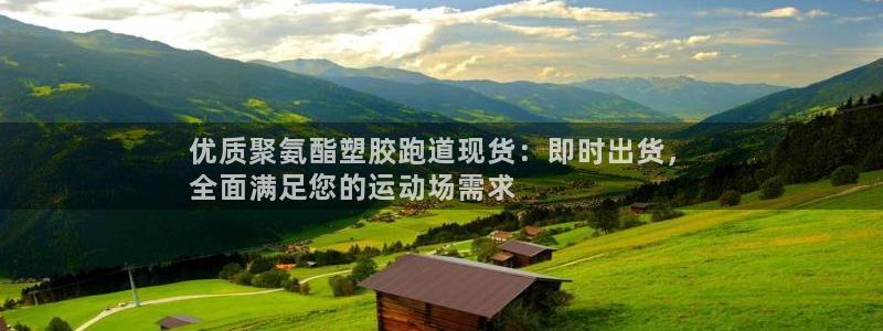 333814红足1世：优质聚氨酯塑胶跑道现货：即时出货，
全面满足您的运动场需求