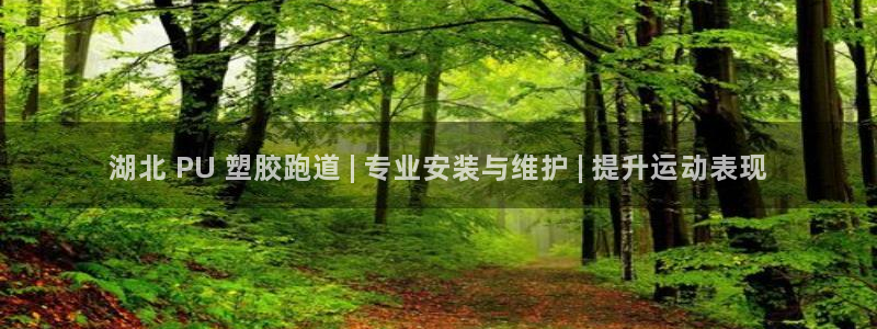 百度红足一1是什么样子的：湖北 PU 塑胶跑道 | 专业安装与维护 | 提升运动表现