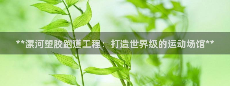 红足一1世官网足球推荐真人：**漯河塑胶跑道工程：打造世界级的运动场馆**