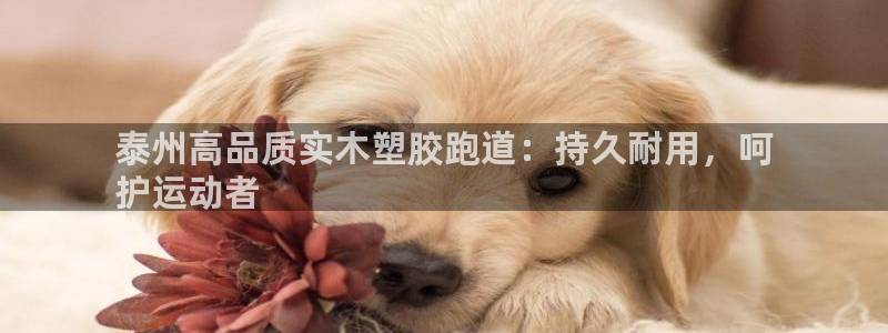 红足1世手机版下载：泰州高品质实木塑胶跑道：持久耐用，呵
护运动者