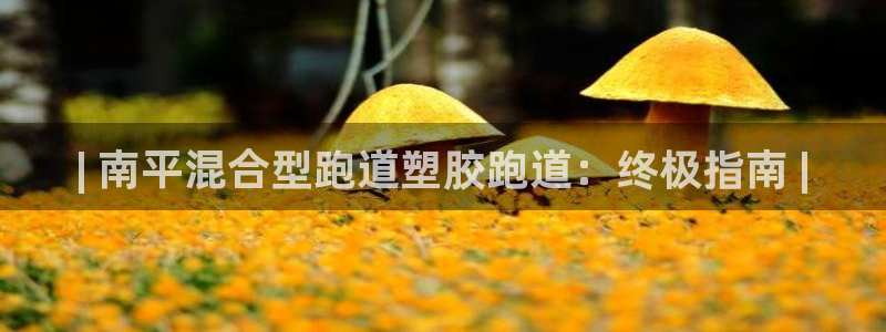 红足1世1站2站管理网：| 南平混合型跑道塑胶跑道：终极指南 |