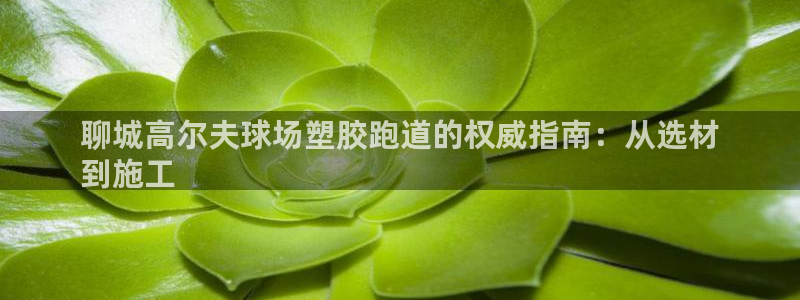红足一1世官网：聊城高尔夫球场塑胶跑道的权威指南：从选材
到施工