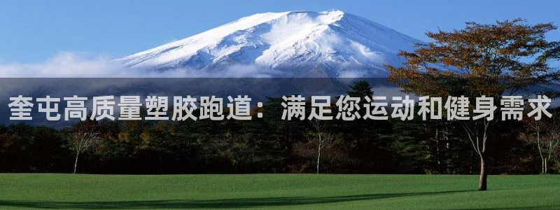 红足1世足球：奎屯高质量塑胶跑道：满足您运动和健身需求