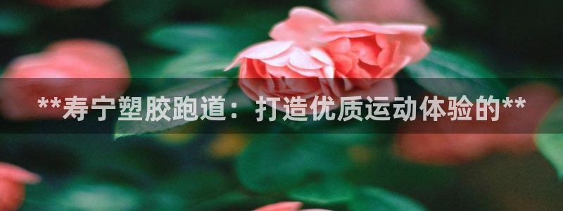 66814红足：**寿宁塑胶跑道：打造优质运动体验的**