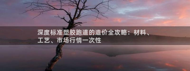 红足一1世官网：深度标准塑胶跑道的造价全攻略：材料、
工艺、市场行情一次性