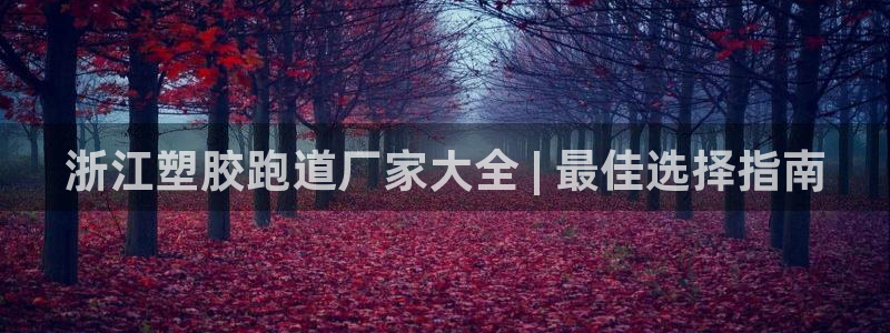 红足一球：浙江塑胶跑道厂家大全 | 最佳选择指南