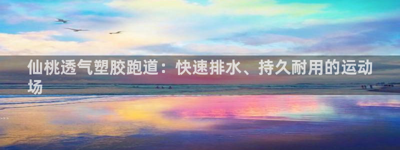 红足一丰：仙桃透气塑胶跑道：快速排水、持久耐用的运动
场