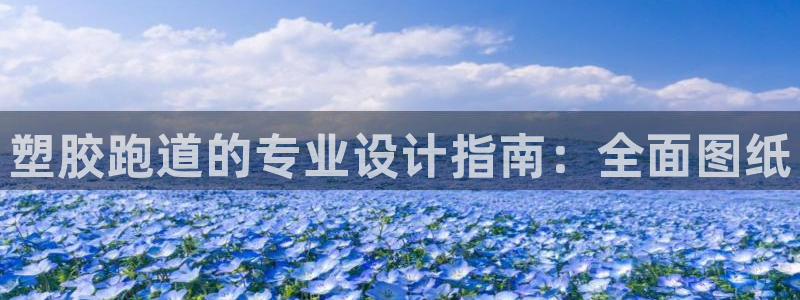 红足1世足球：塑胶跑道的专业设计指南：全面图纸