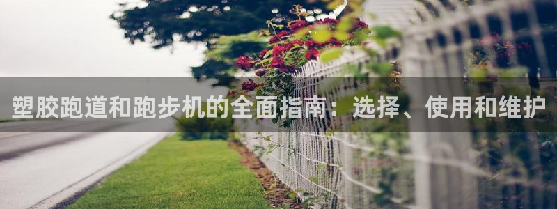 红足1世足球比分：塑胶跑道和跑步机的全面指南：选择、使用和维护