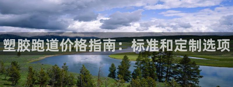 百度红足一1是什么样子的：塑胶跑道价格指南：标准和定制选项