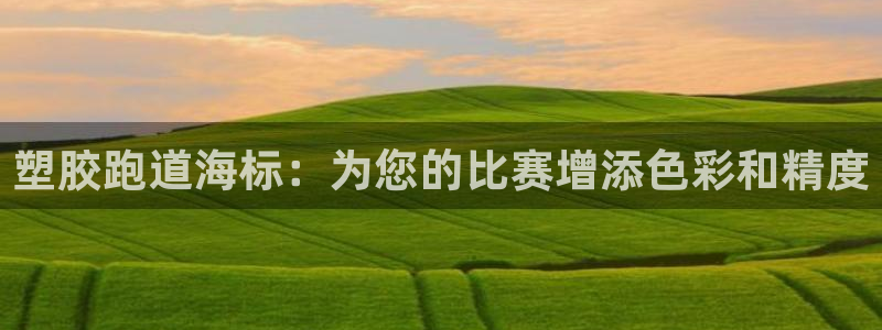 红足一1世皇冠：塑胶跑道海标：为您的比赛增添色彩和精度