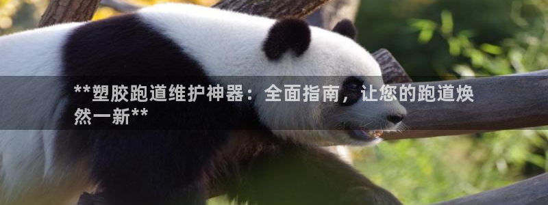百度红足一1使用说明：**塑胶跑道维护神器：全面指南，让您的跑道焕
然一新**