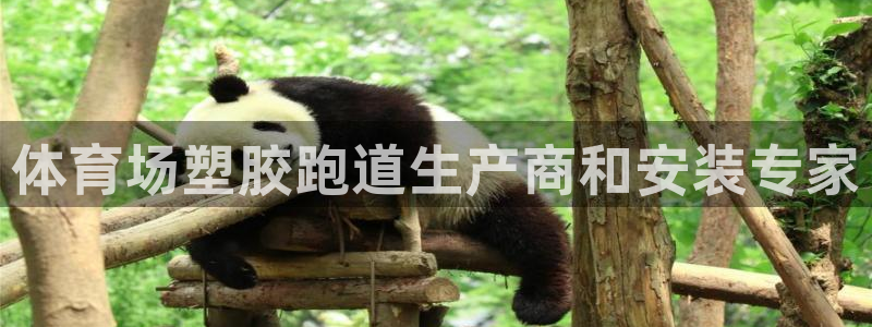 红足1世足球网址：体育场塑胶跑道生产商和安装专家