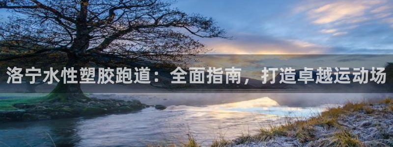 百度红足一1世：洛宁水性塑胶跑道：全面指南，打造卓越运动场