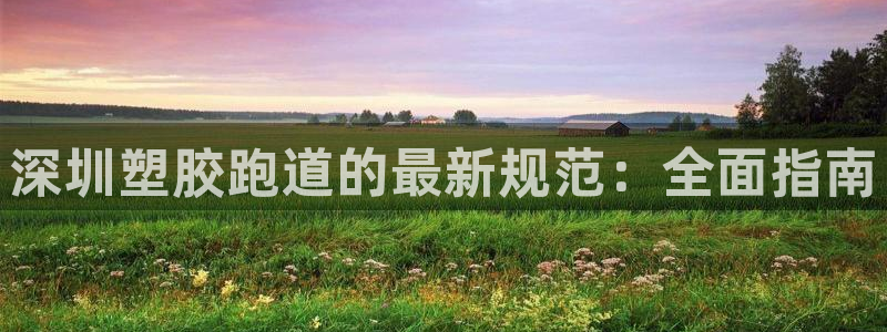 红足1世足球比分网址：深圳塑胶跑道的最新规范：全面指南