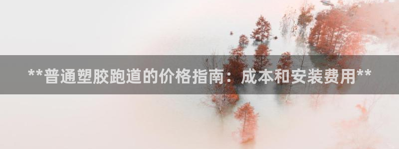红足一1世手机版赛果：**普通塑胶跑道的价格指南：成本和安装费用**
