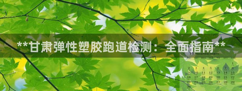 百度红足一1世：**甘肃弹性塑胶跑道检测：全面指南**