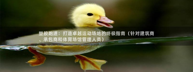 红足一1世比分网：塑胶跑道：打造卓越运动场地的终极指南（针对建筑商
、承包商和体育场馆管理人员）