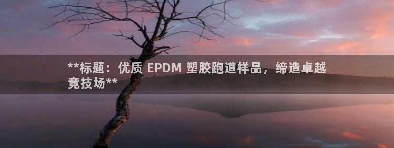 红足一1世66814：**标题：优质 EPDM 塑胶跑道样品，缔造卓越
竞技场**