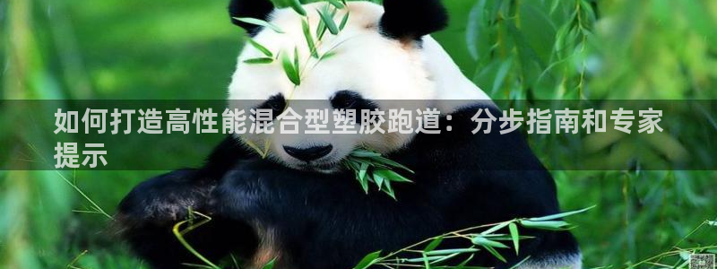 红足一1世皇冠地址：如何打造高性能混合型塑胶跑道：分步指南和专家
提示