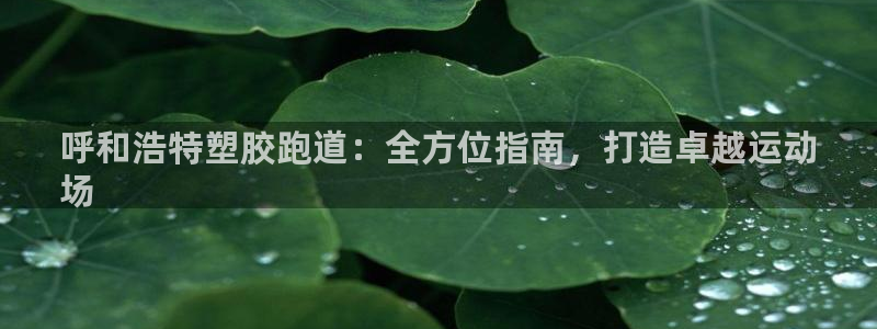 红足一一世足球网开奖记录