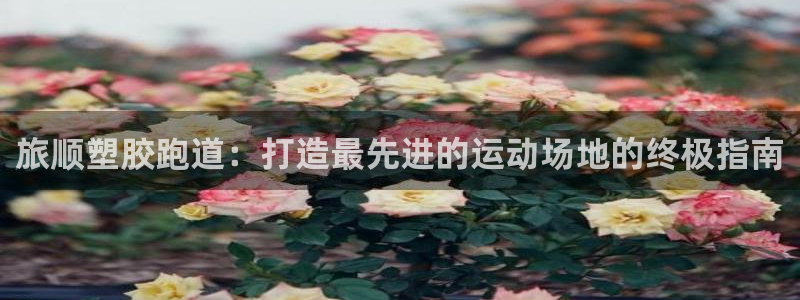 红足1世官网：旅顺塑胶跑道：打造最先进的运动场地的终极指南