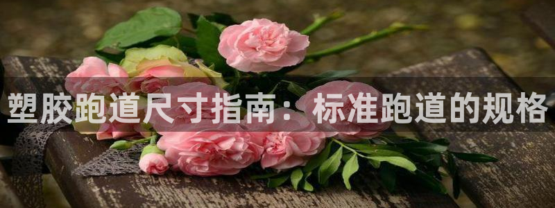 红足i世足球手机网：塑胶跑道尺寸指南：标准跑道的规格