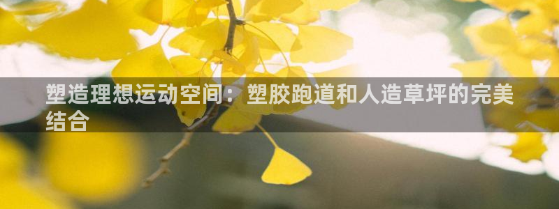 红足1世足球网址：塑造理想运动空间：塑胶跑道和人造草坪的完美
结合