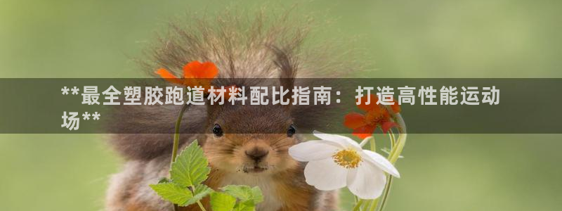 红足一1世手机版新皇冠：**最全塑胶跑道材料配比指南：打造高性能运动
场**