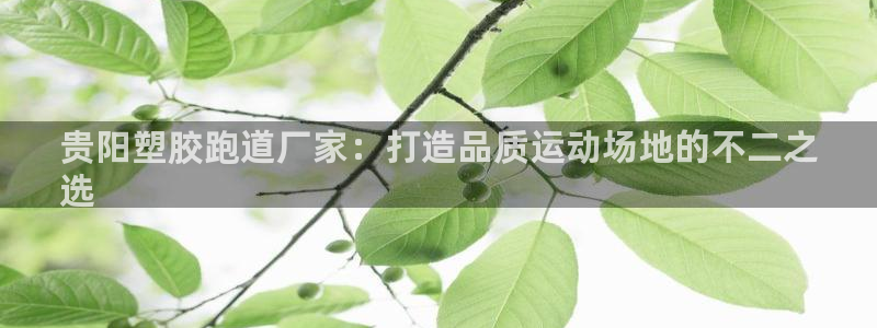 红足一1世比分网：贵阳塑胶跑道厂家：打造品质运动场地的不二之
选