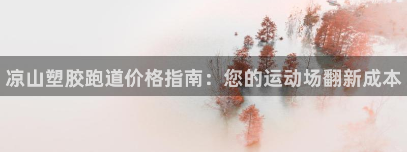 红足1世足球：凉山塑胶跑道价格指南：您的运动场翻新成本