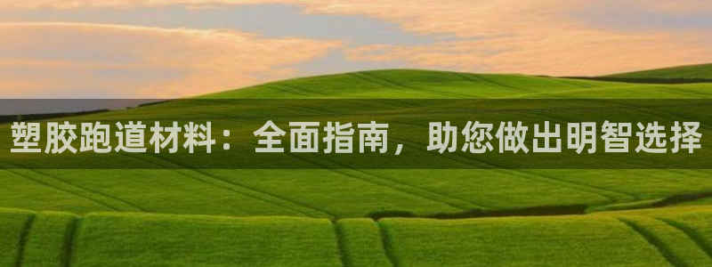 77814红足1世：塑胶跑道材料：全面指南，助您做出明智选择