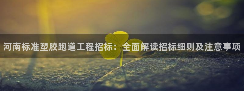 66814红足：河南标准塑胶跑道工程招标：全面解读招标细则及注意事项