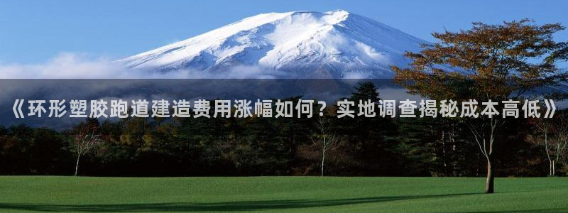 红世一足球比分：《环形塑胶跑道建造费用涨幅如何？实地调查揭秘成本高低》