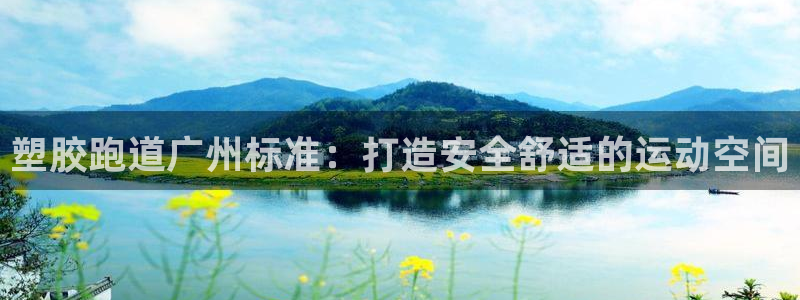 百度红足一1是什么样子的：塑胶跑道广州标准：打造安全舒适的运动空间