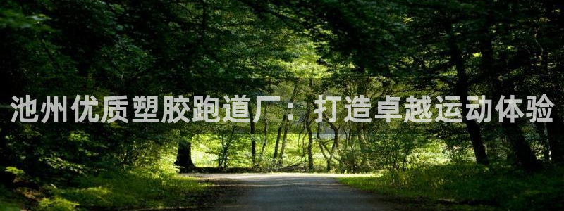 百度红足一1是为什么：池州优质塑胶跑道厂：打造卓越运动体验