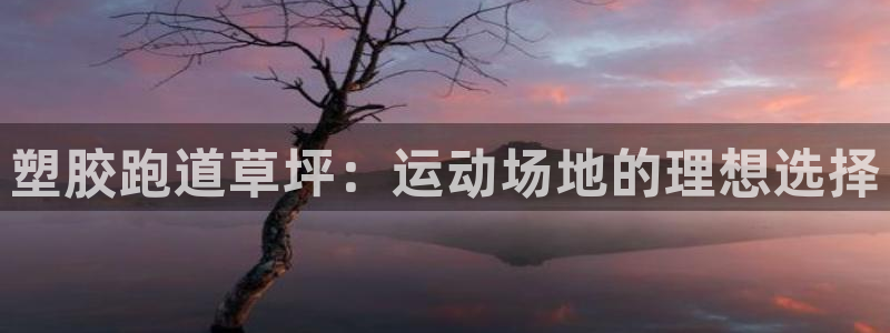 百度红足一1是干什么的：塑胶跑道草坪：运动场地的理想选择