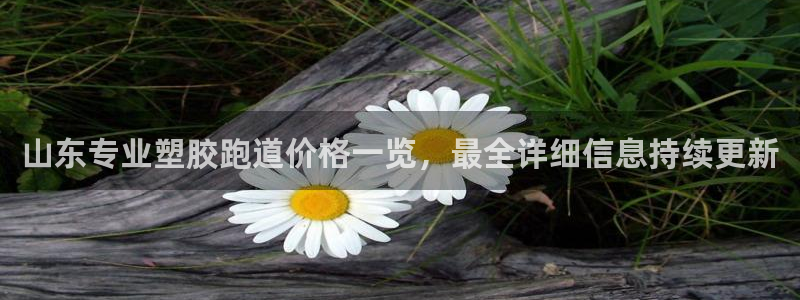 66814红足：山东专业塑胶跑道价格一览，最全详细信息持续更新