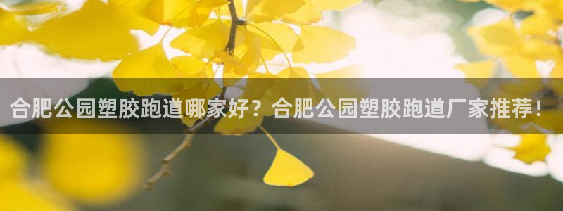 红足1一世红：合肥公园塑胶跑道哪家好？合肥公园塑胶跑道厂家推荐！