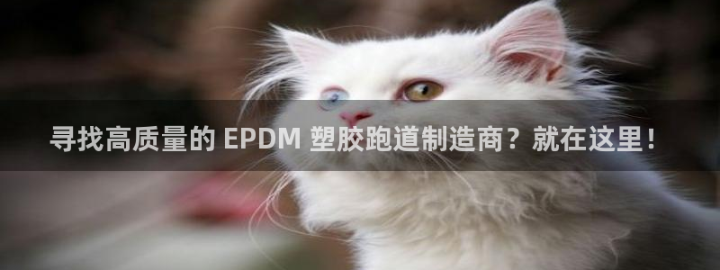 777814红·足一世比分：寻找高质量的 EPDM 塑胶跑道制造商？就在这里！