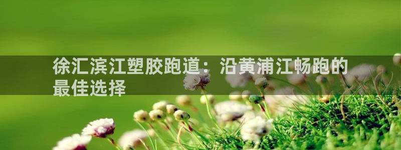 红足1世足球网址：徐汇滨江塑胶跑道：沿黄浦江畅跑的
最佳选择